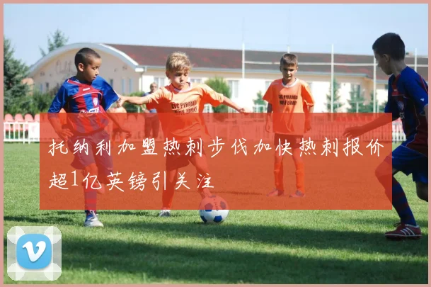托纳利加盟热刺步伐加快热刺报价超1亿英镑引关注