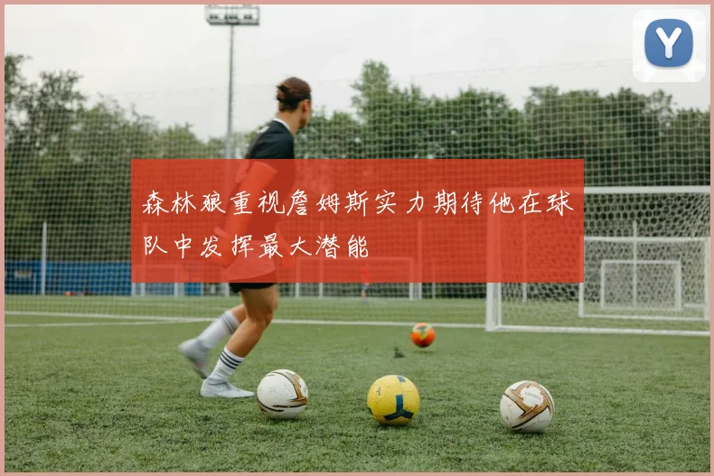 森林狼重视詹姆斯实力期待他在球队中发挥最大潜能